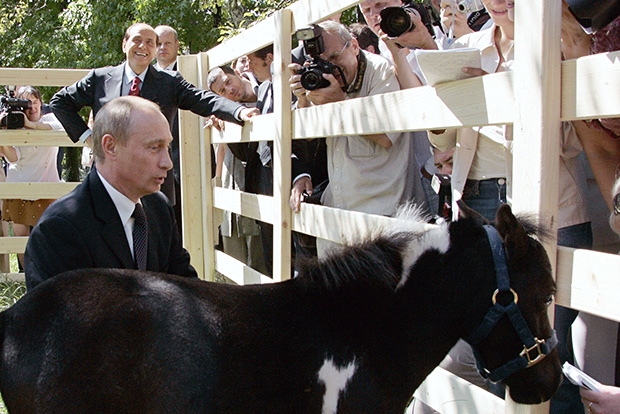 Friendship between Putin and Berlusconi