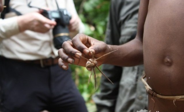 Horrific customs of the Papuans can shock