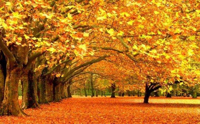 Why autumn is better than summer: 10 real facts