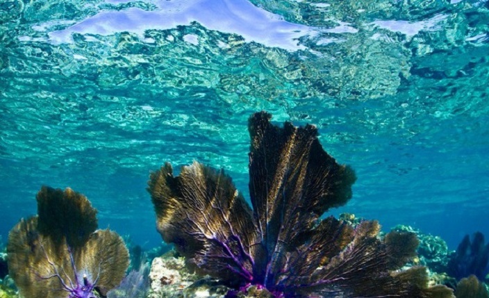 35 places on the planet with crystal clear water