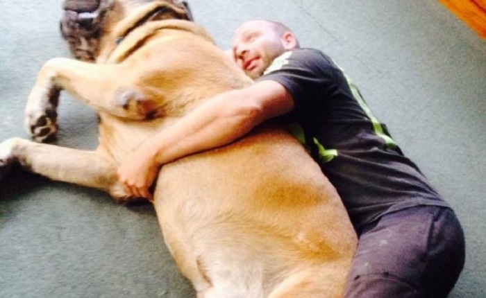 Very large and funny dogs, 20 photos