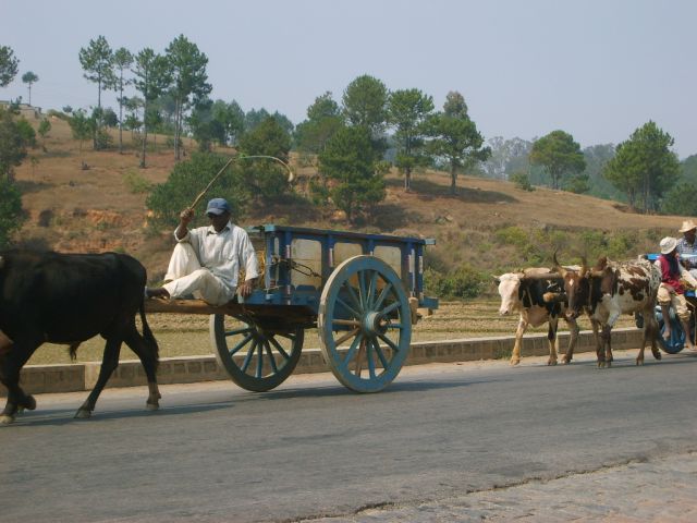 Photoreport from the life of Antananarivo - the most backward city in the world (20 photos)