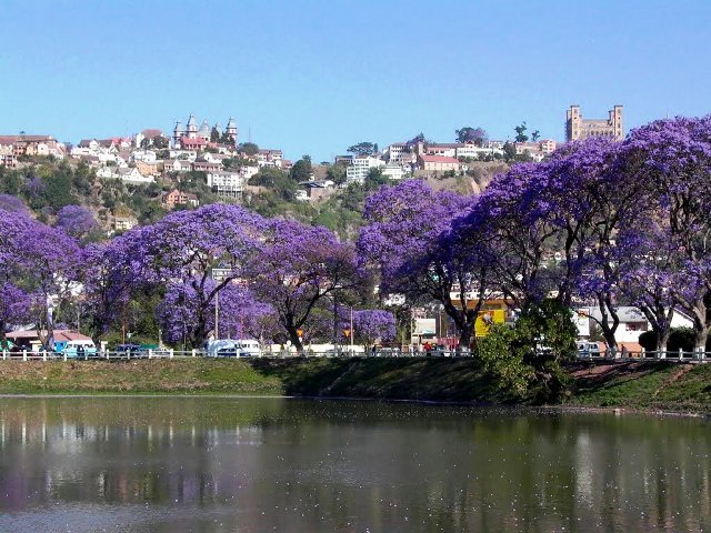 Photoreport from the life of Antananarivo - the most backward city in the world (20 photos)