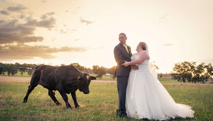 20 funny and unusual wedding photos