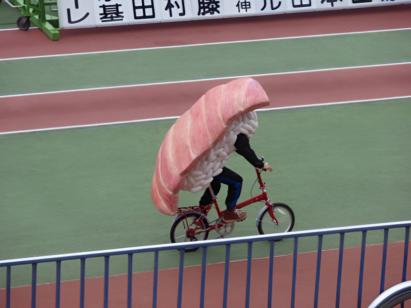 Living Life to the Fullest: 30 Whimsical Scenes in Japan